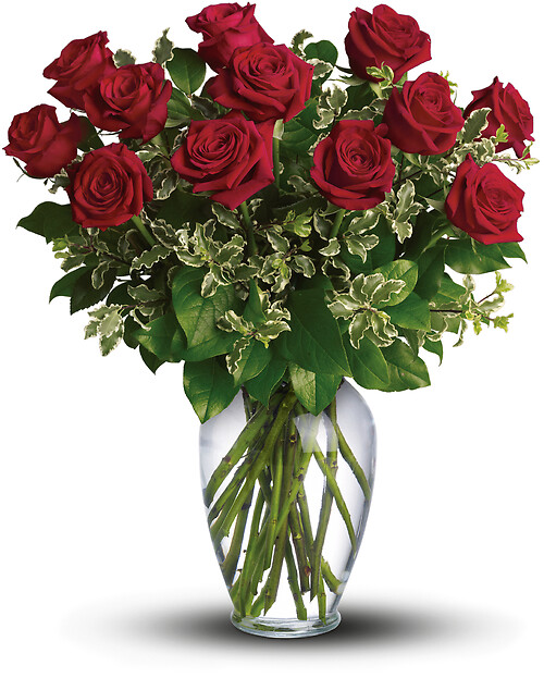 A Dozen Red Roses