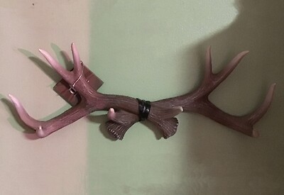 Deer Rack