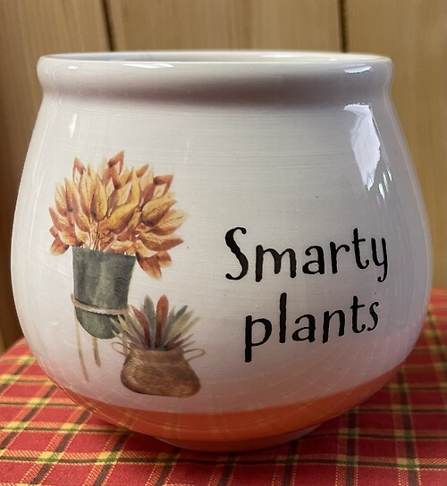Smarty Plants