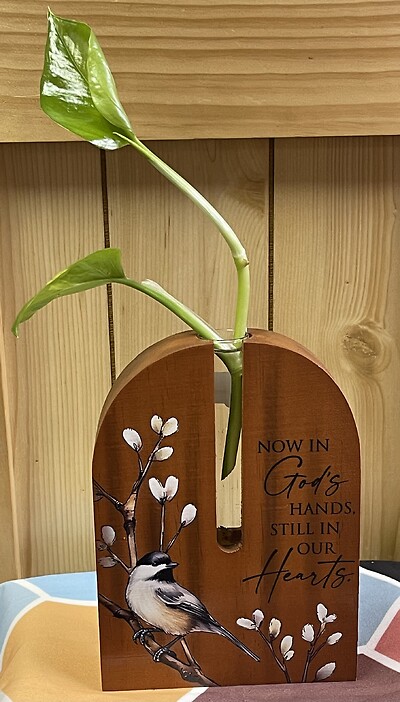In God's Hands Propagation Stand