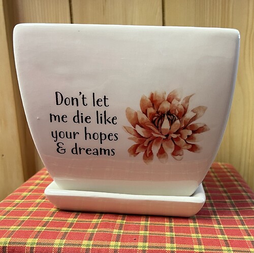 Don't let me die like your hopes &amp; dreams