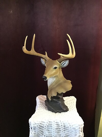 Deer Bust on Rock