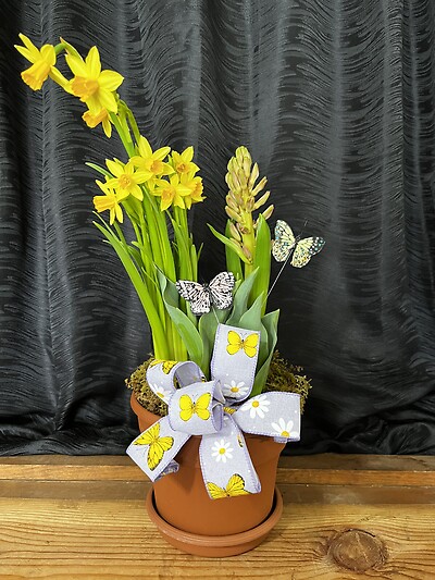 6&quot; Spring Bulb Garden