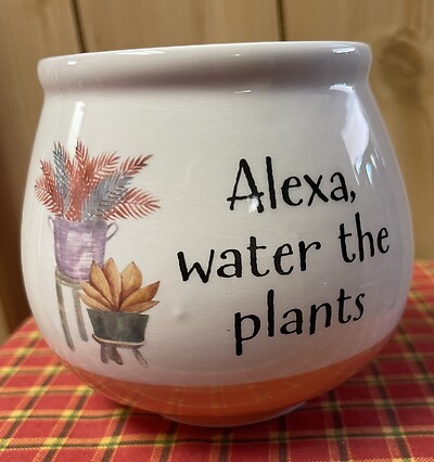 Alexa, water my plants