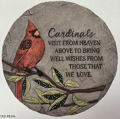 Cardinals Visit From Heaven