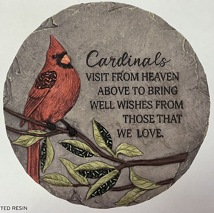 Cardinals Visit From Heaven